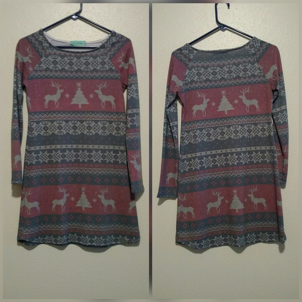 Filly Flair Holiday Dress